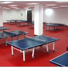 1.8m Breite Relle PVC Vinyl Tennisplatz Bodenmatte zum Training