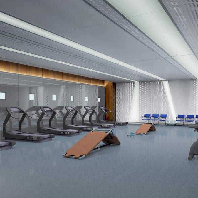 Schwerlast 8mm EPDM Gummi Fußboden Farbenfrohe Sport Fitnessstudio Epdm Gummi Oberfläche