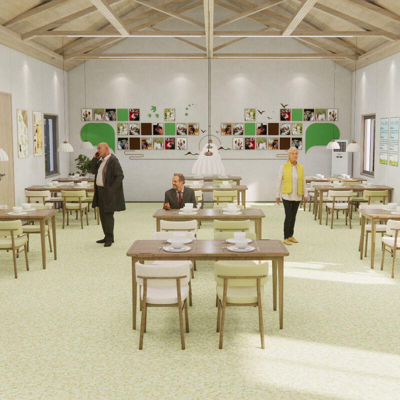 Schlagfestes homogenes Fußboden mit kratzfeste Oberfläche für Krankenzimmer in Pflegeheimen